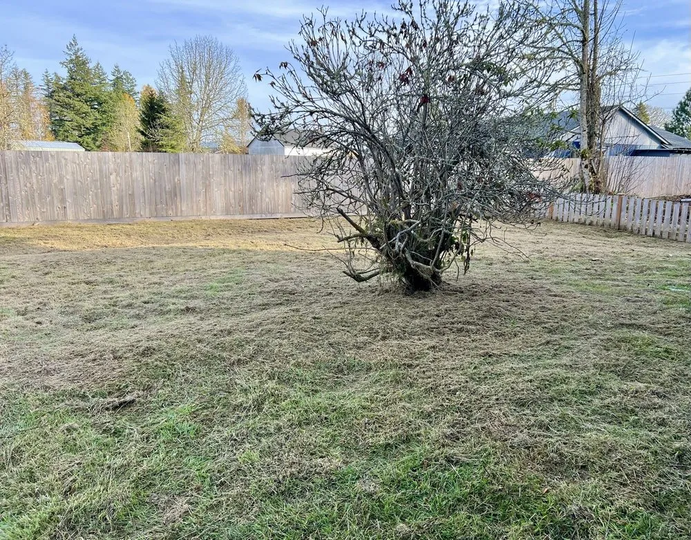 Expert landscaping services in Kelso, WA - Best Cuts Lawn Care