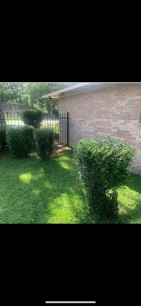 Professional landscape installation experts serving Baton Rouge, LA - Best Cuts Lawn Service