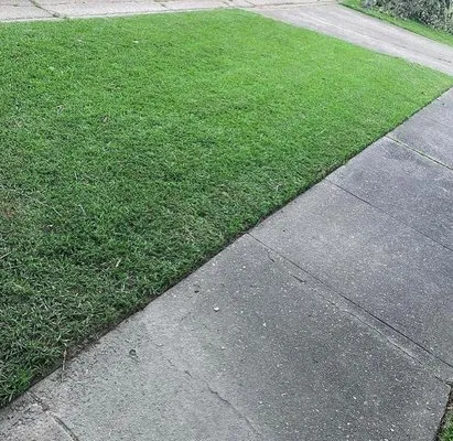 Best Cuts Lawn Service Logo