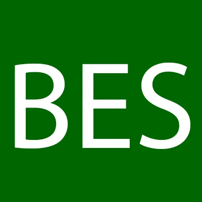 Best Ever Service Logo