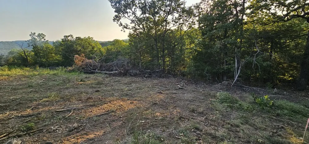 Expert yard maintenance in Reeds Spring, MO by Best Friend Land Services