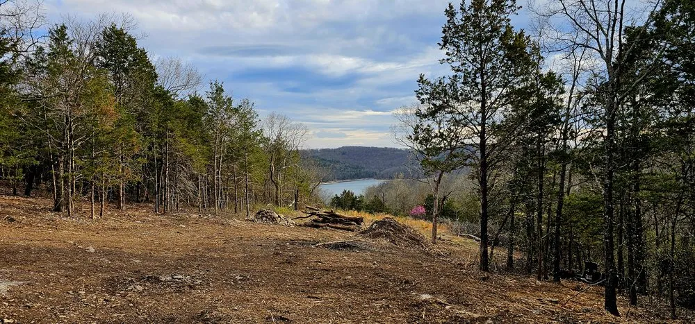 Reliable lawn care service in Reeds Spring, MO - Best Friend Land Services