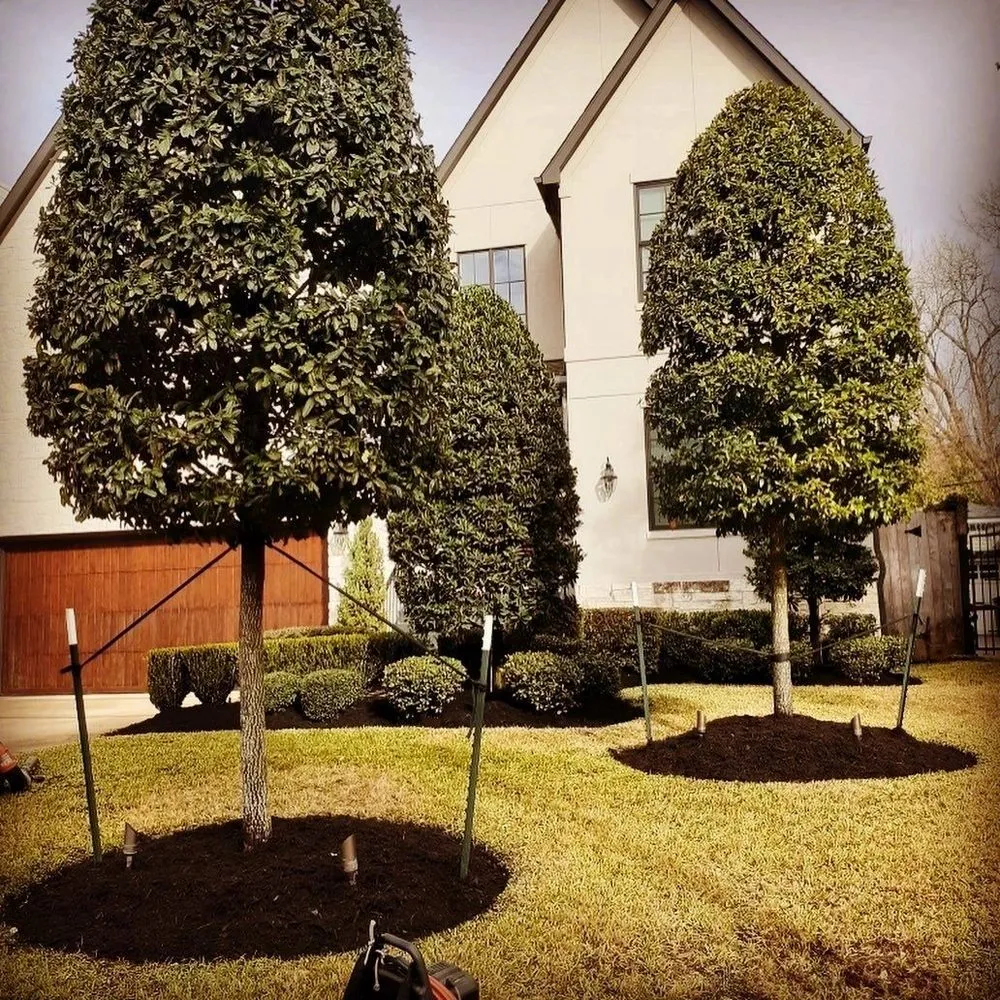 Affordable yard maintenance with custom design across Bellaire, TX - Best Friends Contractors