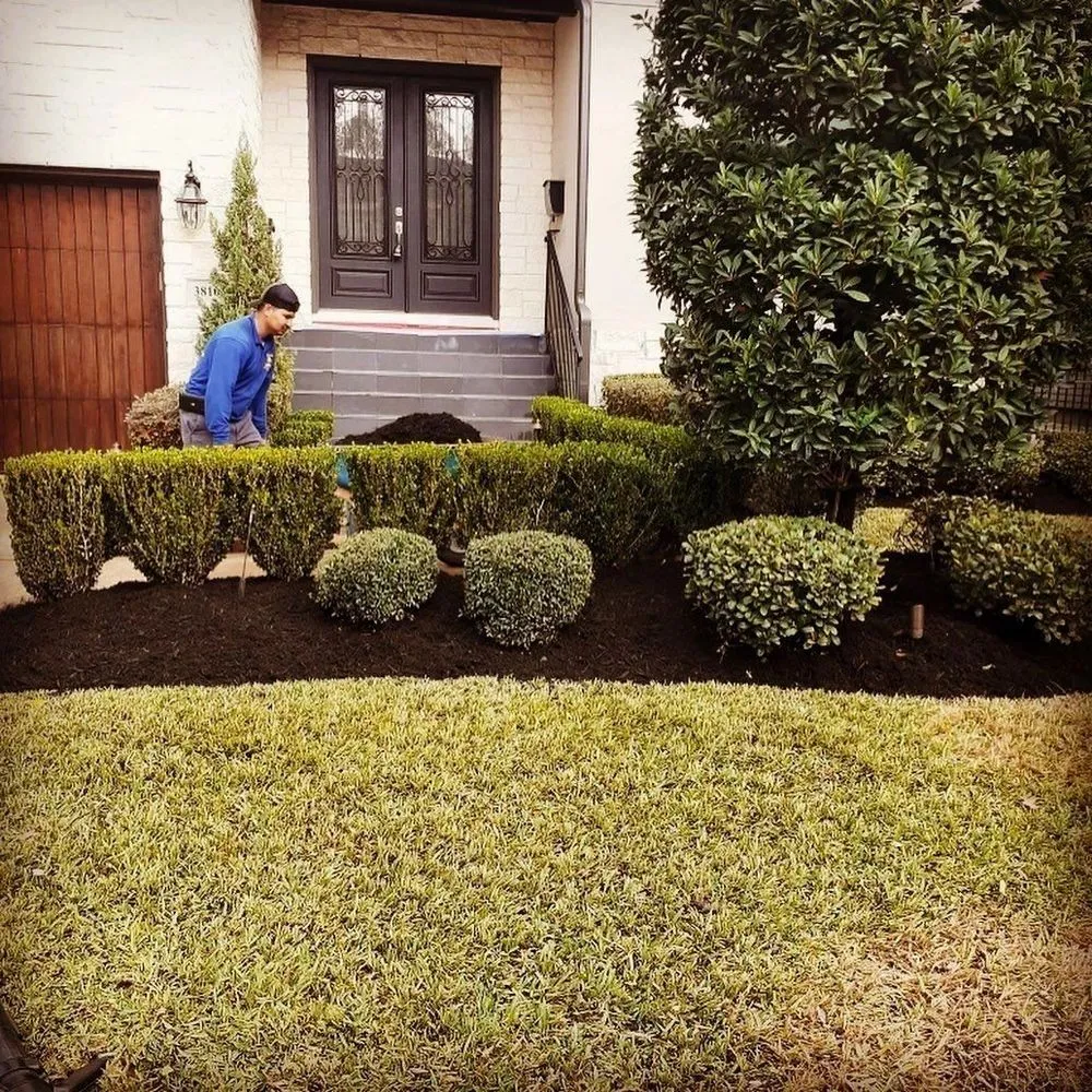 Top-rated landscape design in Bellaire, TX - Best Friends Contractors
