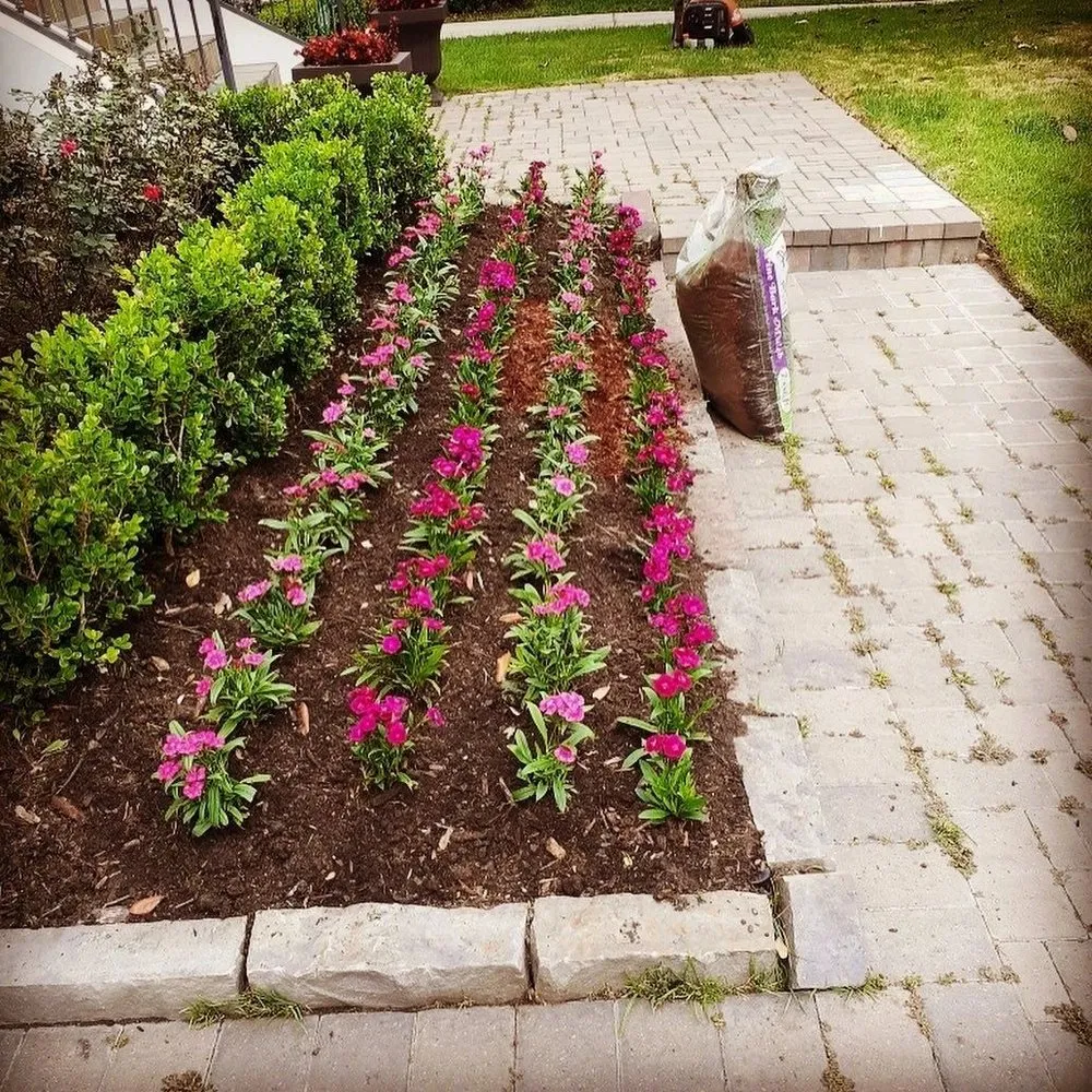 Local yard maintenance experts serving Bellaire, TX - Best Friends Contractors