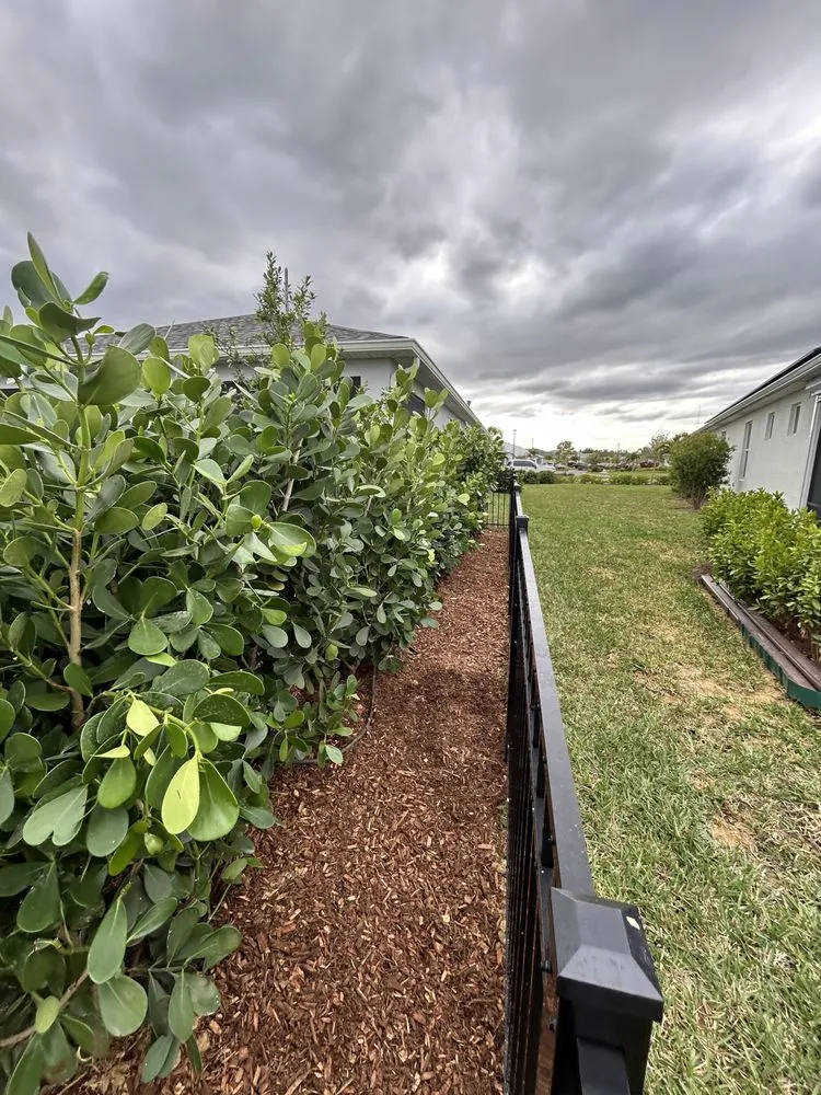 Affordable outdoor landscaping for residential properties in Punta Gorda, FL by Best Garden Landscape Services