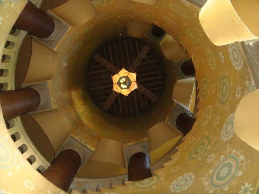 Top-rated yard maintenance for year-round maintenance in San Diego, CA by Best Green Grass