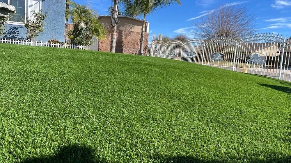 Trusted lawn mowing service in San Diego, CA by Best Green Grass