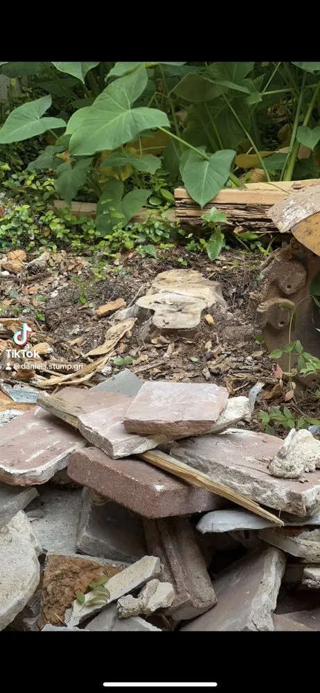 Reliable landscape design in San Antonio, TX by Best Green Lawn Services