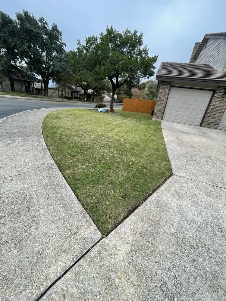 Top-rated landscaping services near you across San Antonio, TX - Best Green Lawn Services