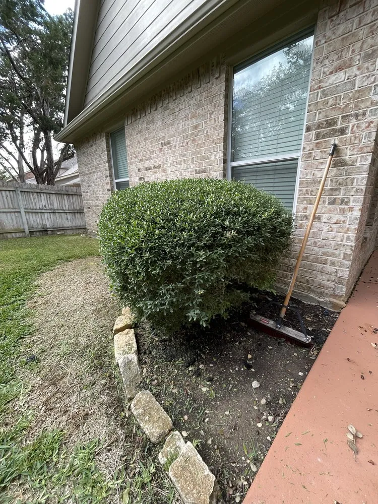 Professional yard maintenance experts serving San Antonio, TX - Best Green Lawn Services