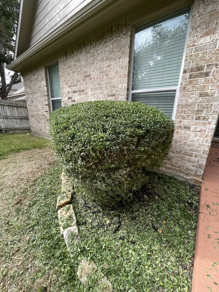 Custom lawn mowing service with custom design in San Antonio, TX by Best Green Lawn Services