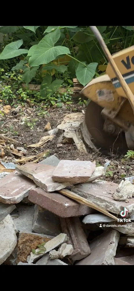 Professional yard cleanup service in San Antonio, TX - Best Green Lawn Services