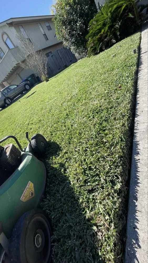 Professional yard maintenance in San Antonio, TX by Best Green Lawn Services