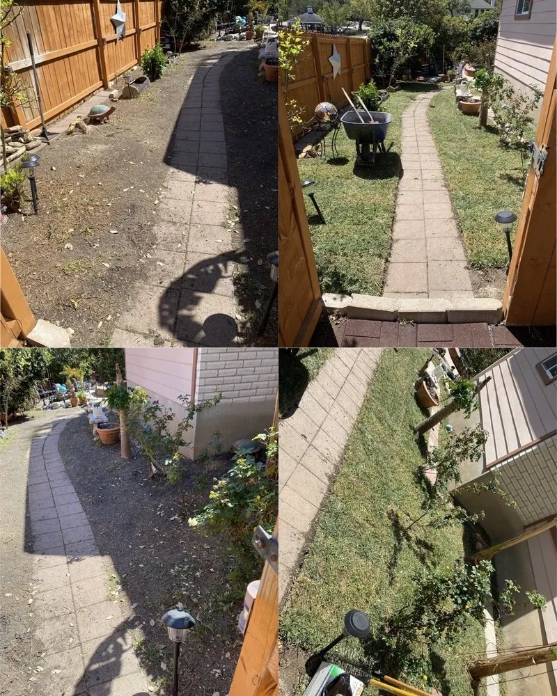 Expert yard maintenance for beautiful yards in San Antonio, TX by Best Green Lawn Services