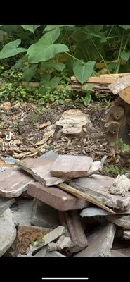 Best Green Lawn Services Logo