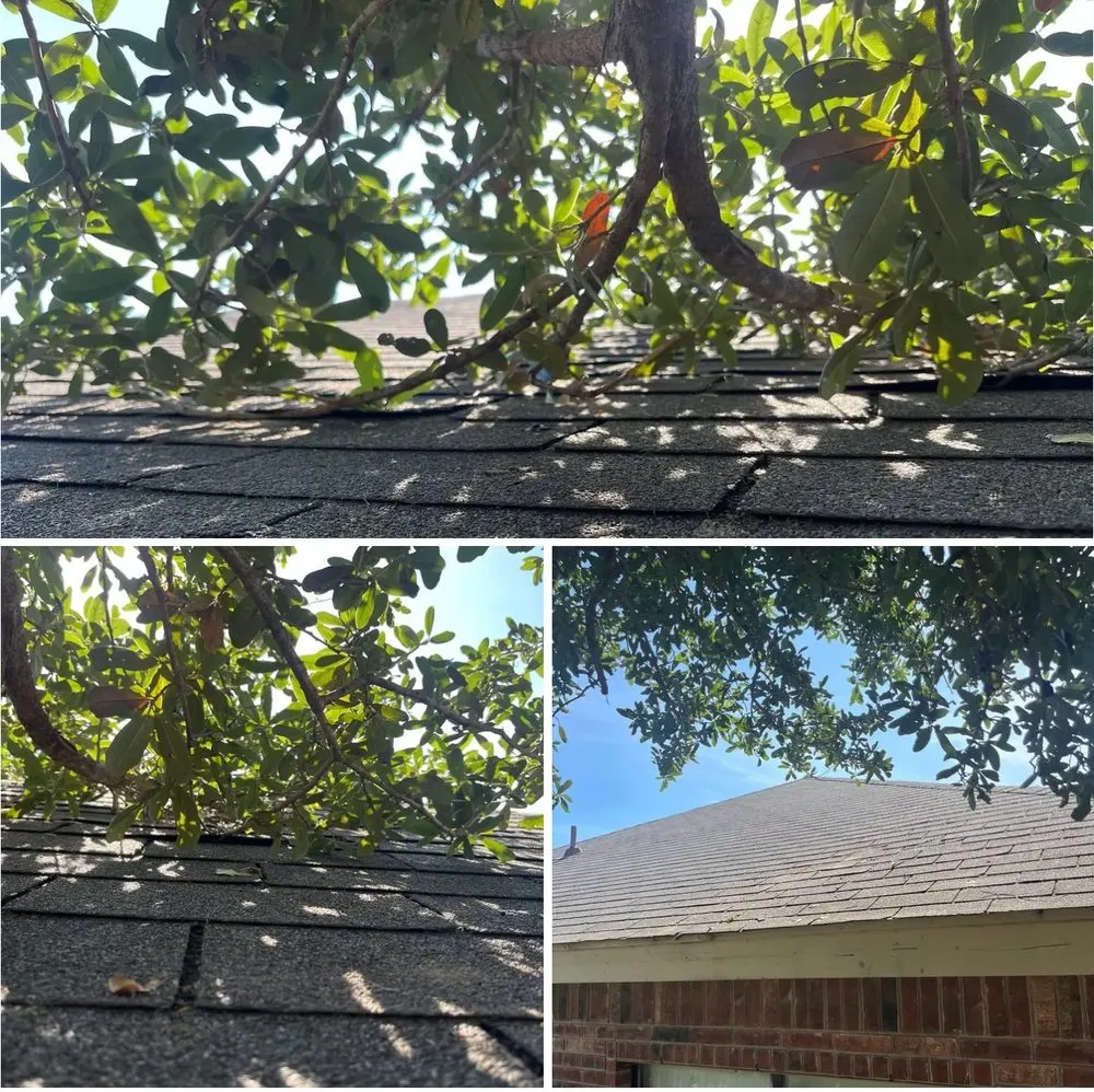 Custom garden landscaping with custom design across Bakersfield, CA - Best Home and Commercial Services