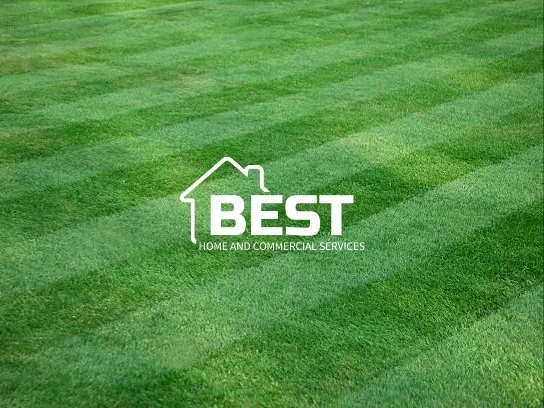 Reliable landscaping services near you across Bakersfield, CA - Best Home and Commercial Services