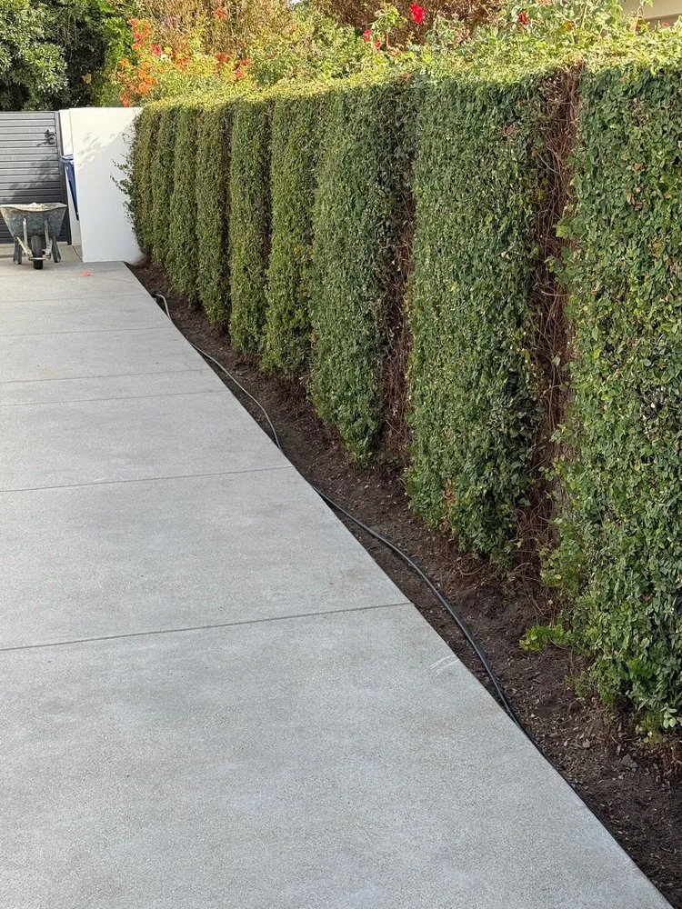 Trusted landscape design for homes across Bakersfield, CA - Best Home and Commercial Services