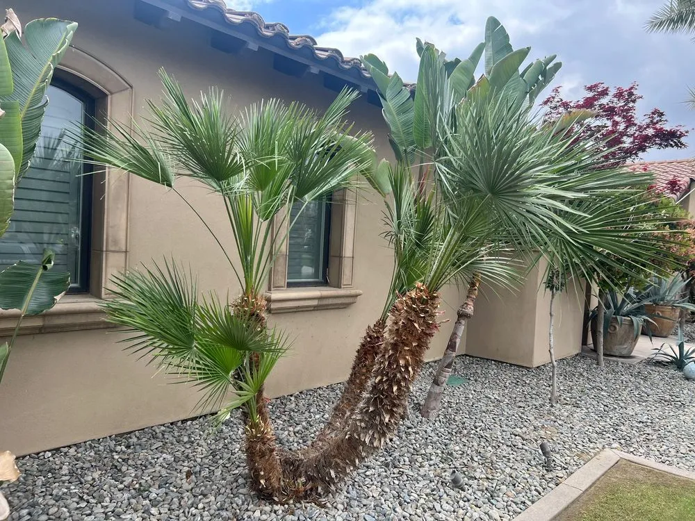 Local lawn mowing service near you across Bakersfield, CA - Best Home and Commercial Services