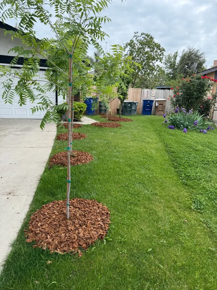 Top-rated lawn care service in Bakersfield, CA by Best Home and Commercial Services