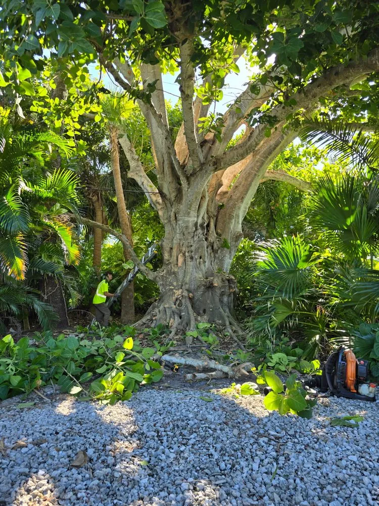 Local garden landscaping experts serving Punta Gorda, FL - Best Home Improvements