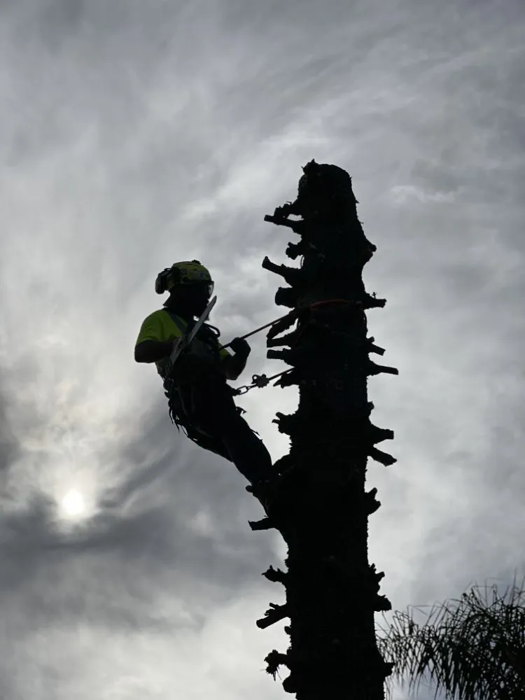 Reliable garden landscaping for beautiful yards across Punta Gorda, FL - Best Home Improvements