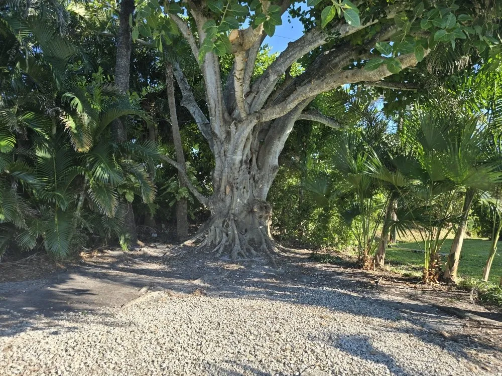 Top-rated residential landscaping in Punta Gorda, FL - Best Home Improvements