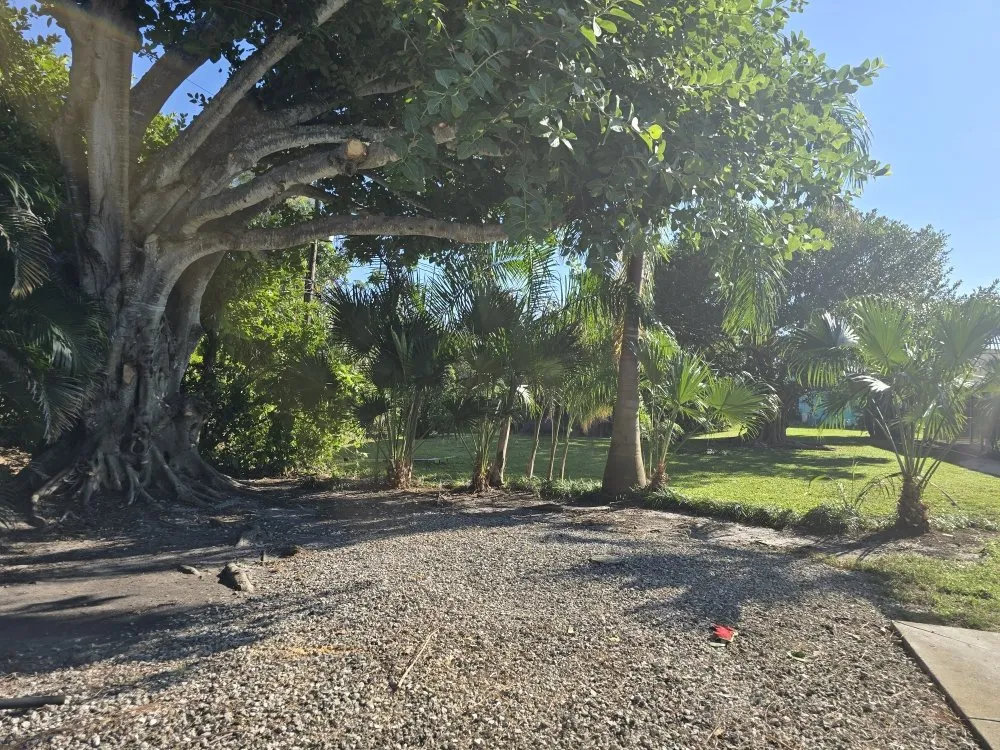 Custom lawn mowing service in Punta Gorda, FL by Best Home Improvements