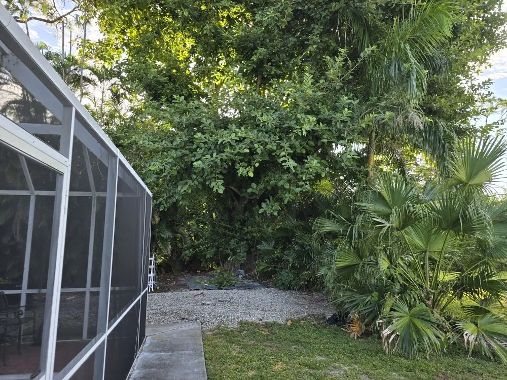 Expert lawn mowing service for homes across Punta Gorda, FL - Best Home Improvements