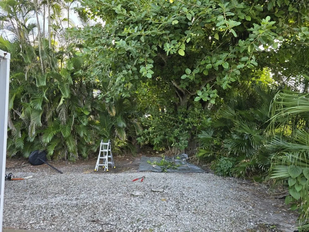 Top-rated yard maintenance in Punta Gorda, FL - Best Home Improvements