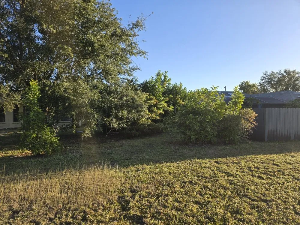 Custom residential landscaping in Punta Gorda, FL by Best Home Improvements