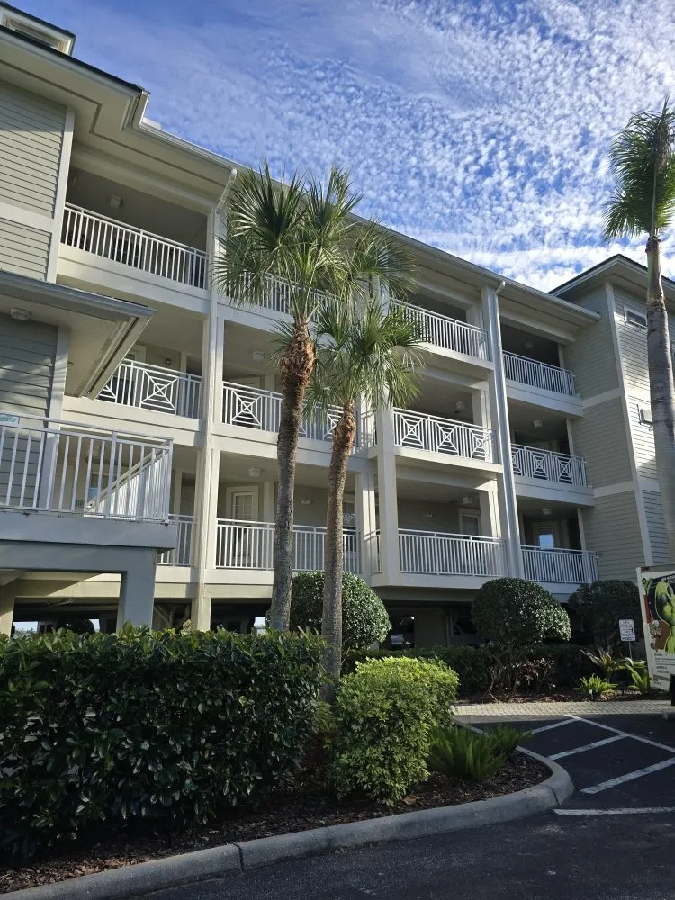 Top-rated residential landscaping experts serving Punta Gorda, FL - Best Home Improvements