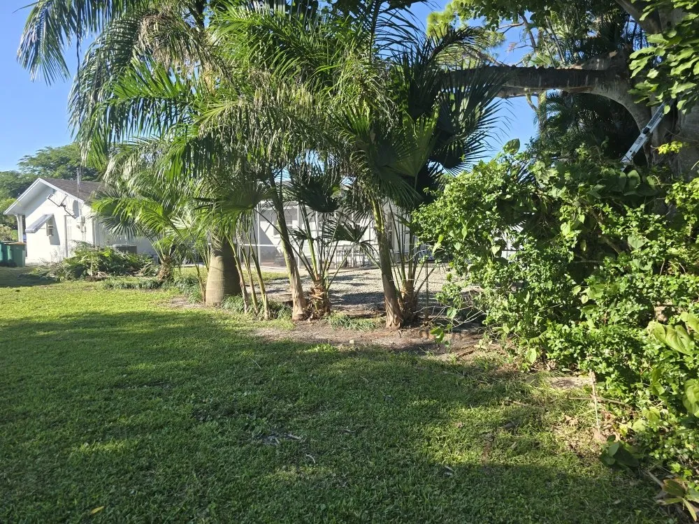 Expert residential landscaping experts serving Punta Gorda, FL - Best Home Improvements