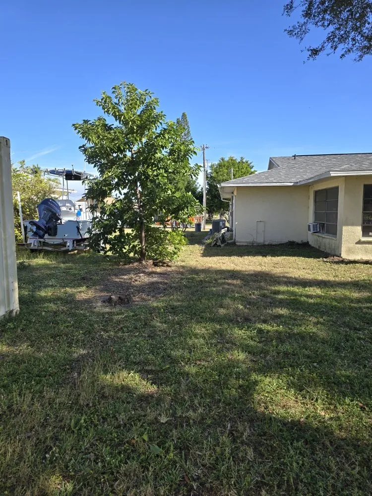 Custom outdoor landscaping in Punta Gorda, FL by Best Home Improvements