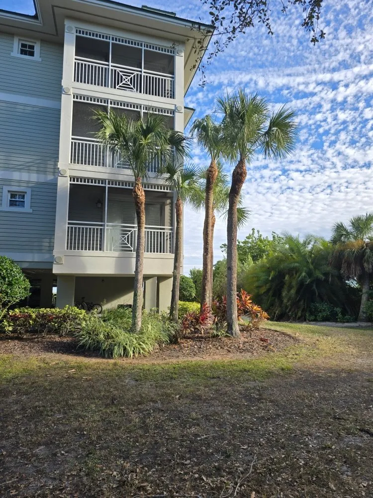 Custom yard cleanup service experts serving Punta Gorda, FL - Best Home Improvements