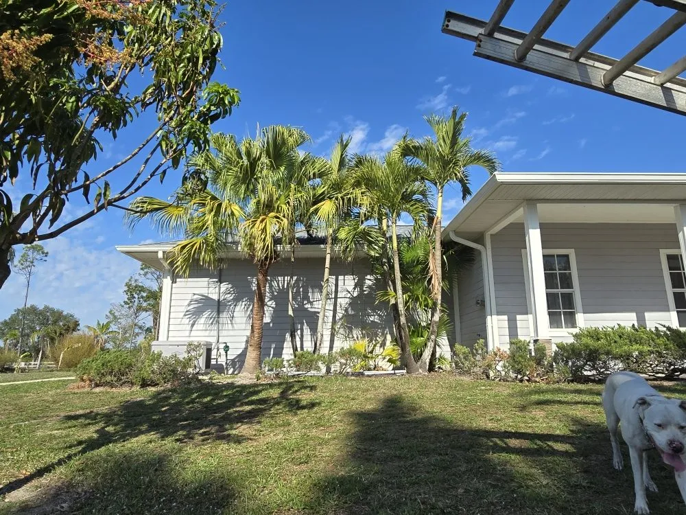 Top-rated lawn mowing service for residential properties in Punta Gorda, FL by Best Home Improvements