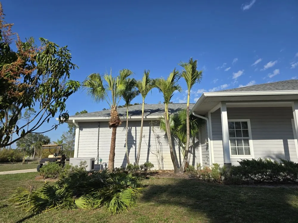 Trusted landscaping services for residential properties across Punta Gorda, FL - Best Home Improvements