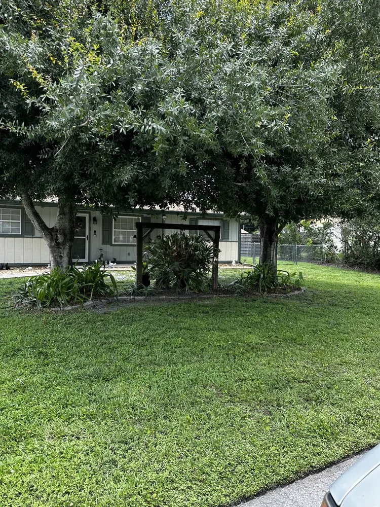 Reliable landscape design in Dover, FL - Best Horizon Landscaping