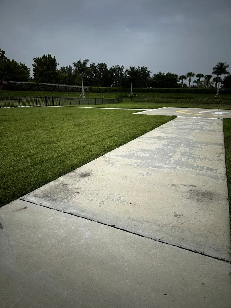 Top-rated landscaping services in Dover, FL by Best Horizon Landscaping