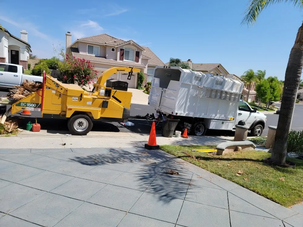 Local lawn mowing service in Los Angeles, CA by Best In Cali Tree Services