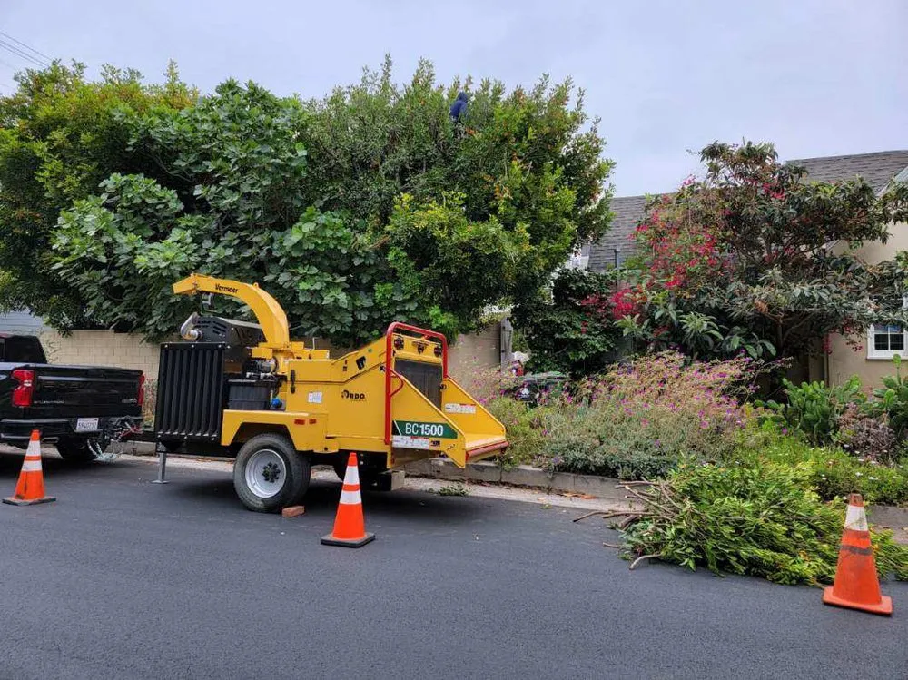 Expert lawn mowing service in Los Angeles, CA - Best In Cali Tree Services