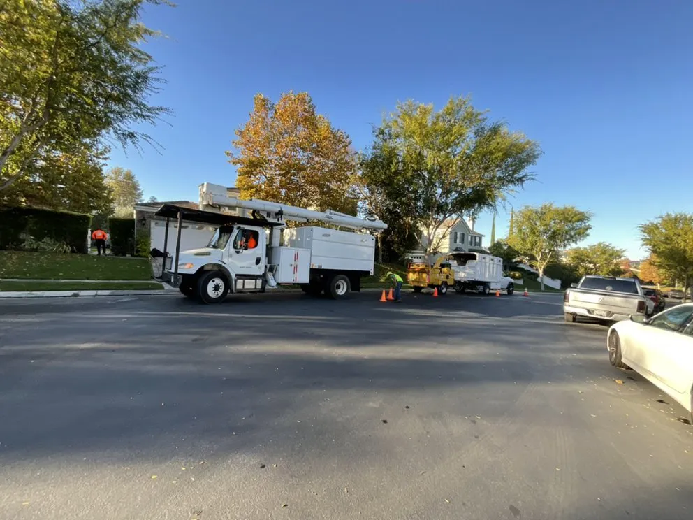 Professional garden landscaping experts serving Los Angeles, CA - Best In Cali Tree Services