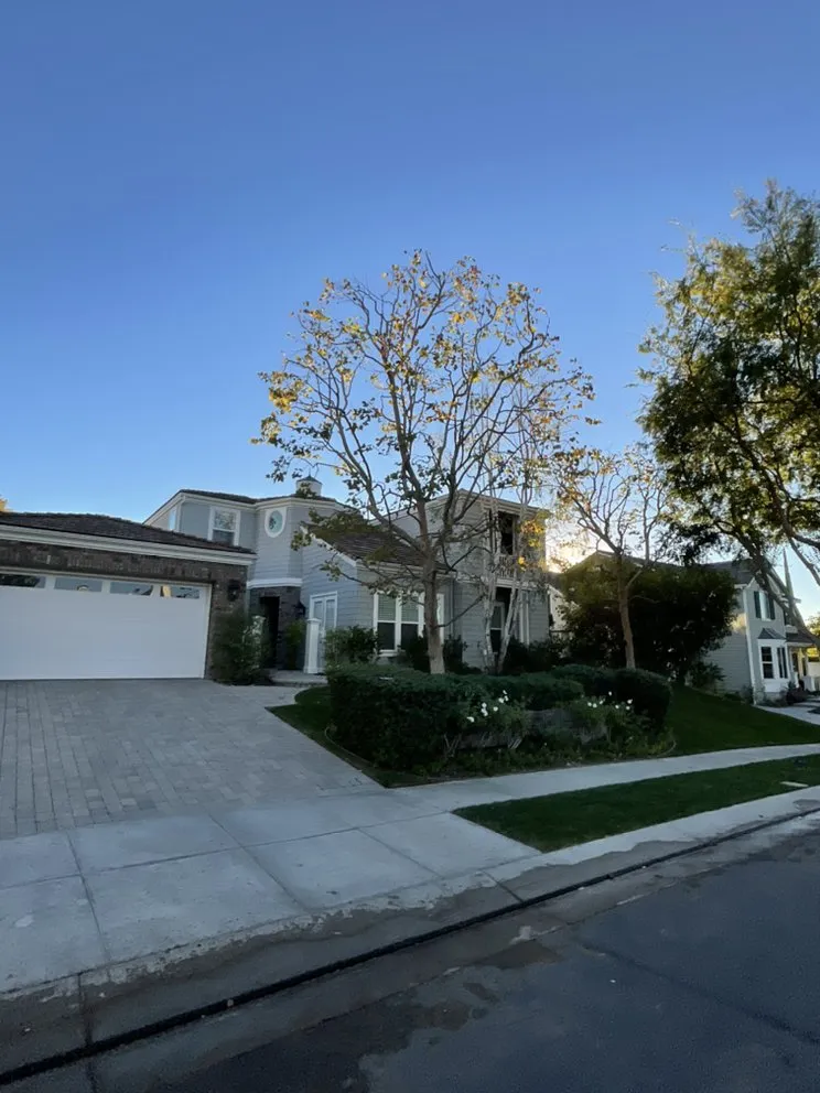 Custom outdoor landscaping in Los Angeles, CA by Best In Cali Tree Services