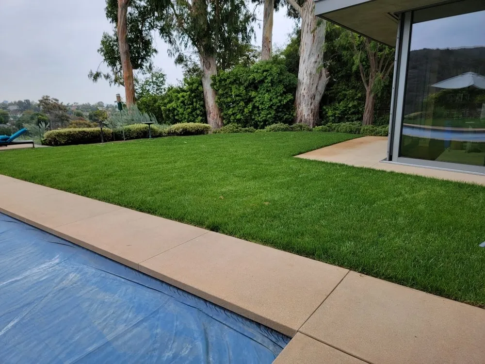 Top-rated garden landscaping experts serving Los Angeles, CA - Best In Cali Tree Services