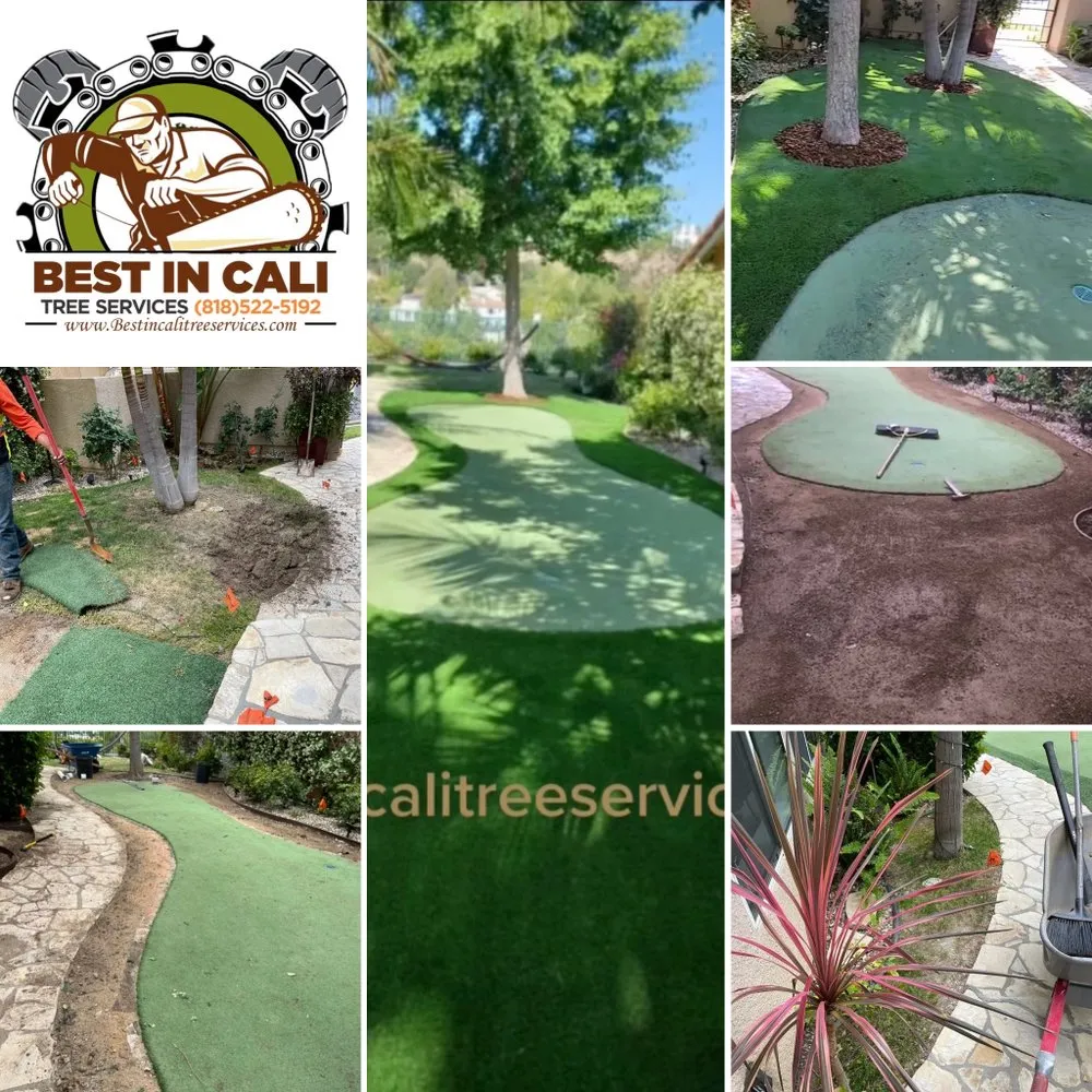 Trusted landscape design experts serving Los Angeles, CA - Best In Cali Tree Services