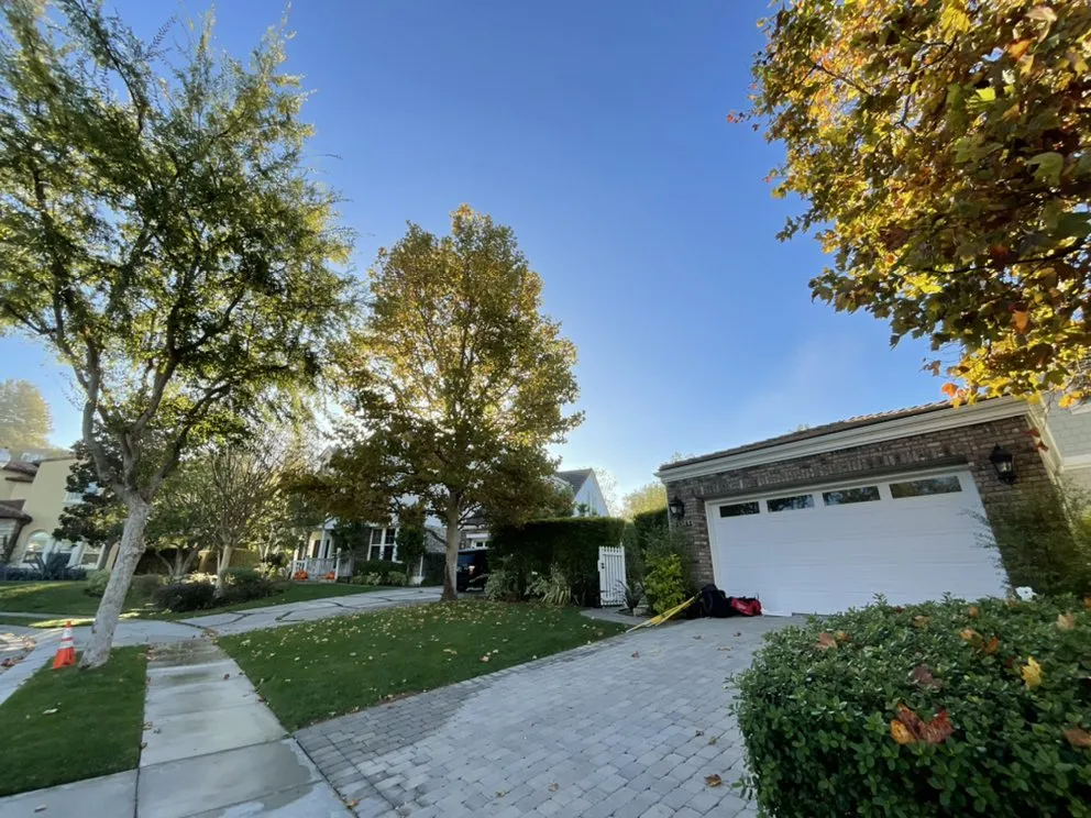 Professional landscape installation experts serving Los Angeles, CA - Best In Cali Tree Services