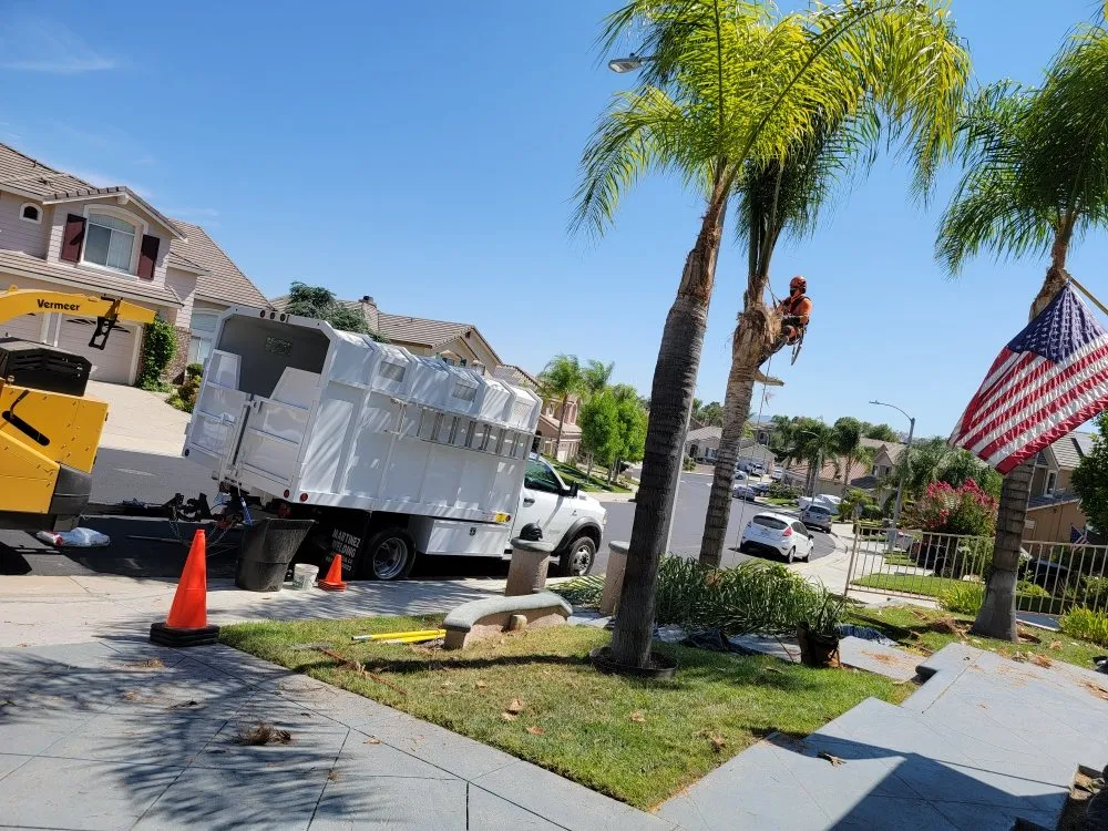 Trusted landscape installation for homes across Los Angeles, CA - Best In Cali Tree Services