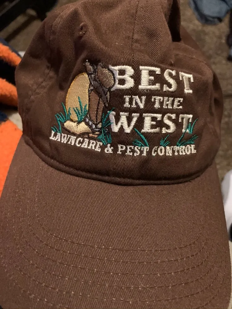 Professional yard cleanup service in Logan, UT by Best in the west Lawn Care and Pest Control