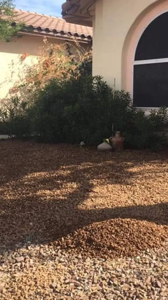 Reliable lawn mowing service experts serving Marana, AZ - Best in the west